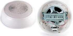 WP-10T Громкоговоритель настенный
